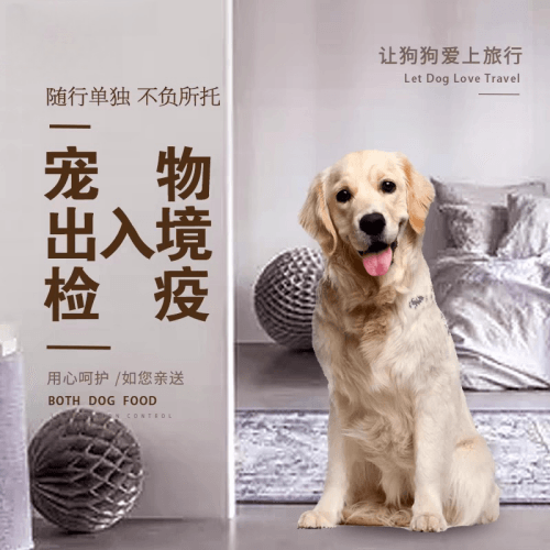 宣城市宠物托运到哥伦比亚猫狗宠物入境规定和