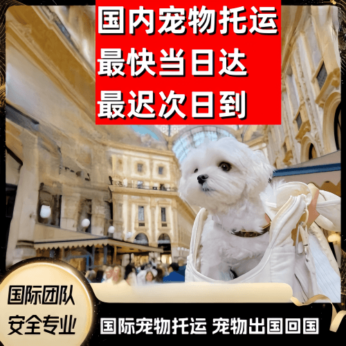 宣城市到澳大利亚（澳洲）宠物入境规定和要求
