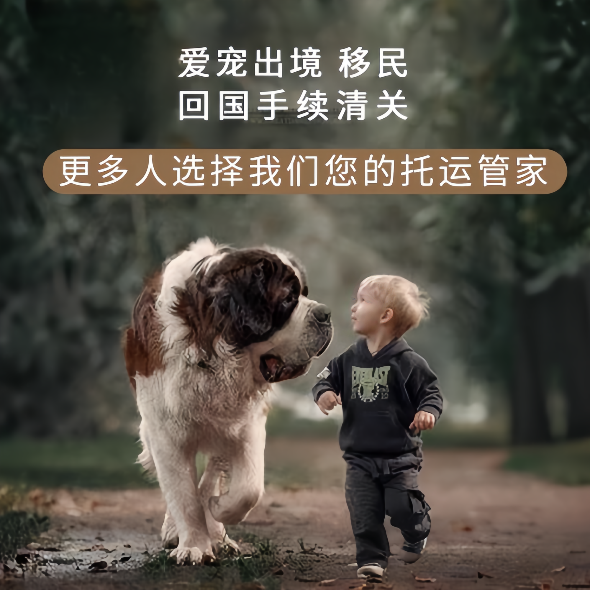 满财宣城市宠物全球达宠物托运在遵守入境目的地政策的条件