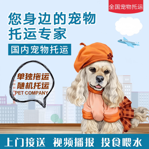 满财宣城市宠物全球达宠物托运作为专业的宠物运输代理机构